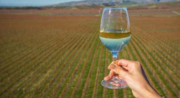 Central Otago Wine Tour